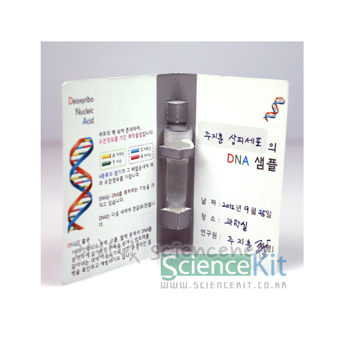 DNA추출2-동물세포(4인용)