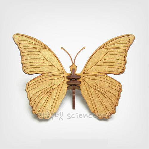 곤충-나비01 만들기(6개입)