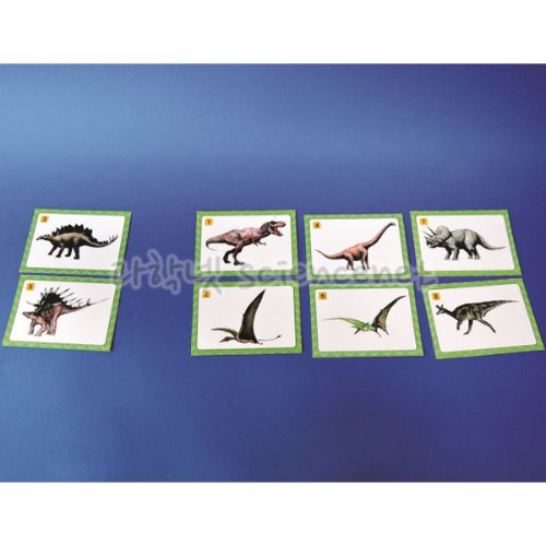 공룡 카드 H (5인용)