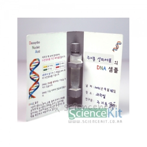 DNA추출2-동물세포(4인용)