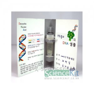 DNA추출1-식물세포(4인용)