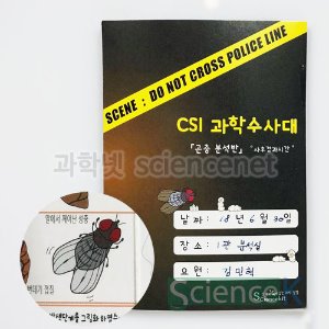 CSI과학수사대 곤충분석반-사후경과시간(8인용)