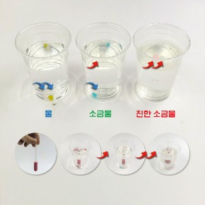 용액의 진하기 비교(비중계 만들기 플라스틱 분리 실험)(1인용)