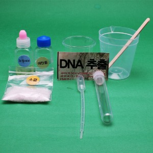 DNA추출 만들기(10인세트)