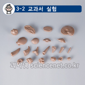 화석모형키트(2015년1월재입고예정)