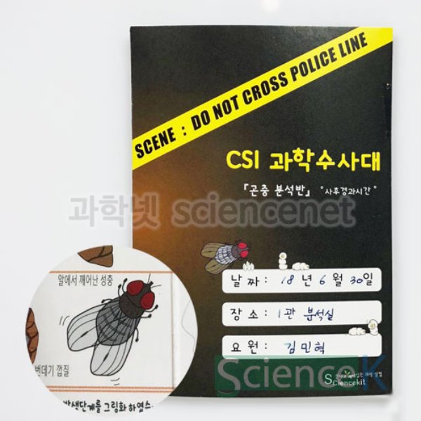 CSI과학수사대 곤충분석반-사후경과시간(8인용)