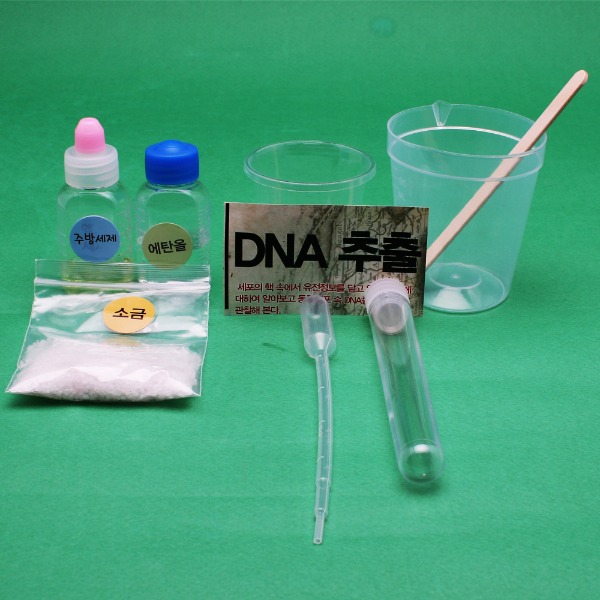[유비네1809] DNA추출 만들기(10인세트)