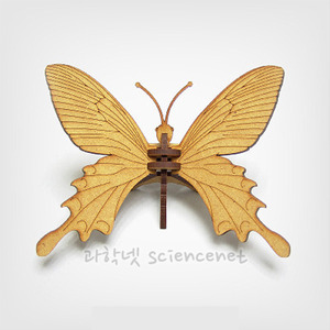 곤충-나비08 만들기(6개입)