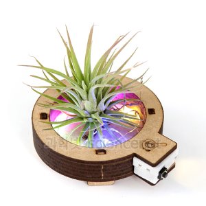 LED 공기정화 화분 만들기(2개입) /이오난사 공기정화식물