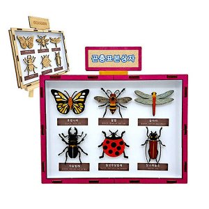 곤충 표본 상자 만들기(2개입)