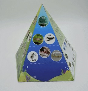 생태 피라미드 H (5인용)